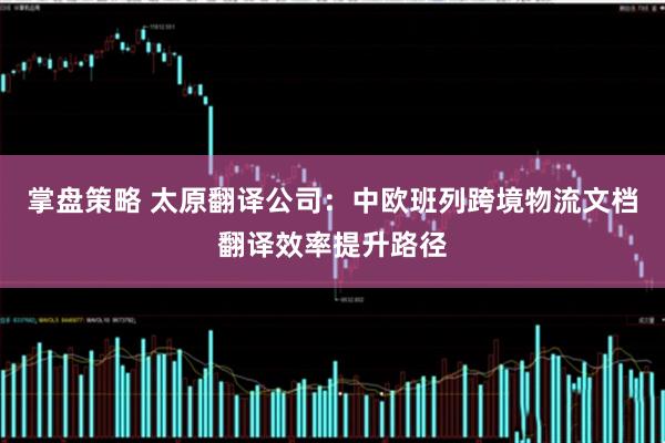 掌盘策略 太原翻译公司：中欧班列跨境物流文档翻译效率提升路径