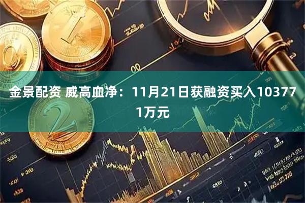 金景配资 威高血净：11月21日获融资买入103771万元