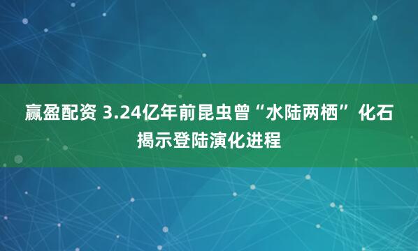 赢盈配资 3.24亿年前昆虫曾“水陆两栖” 化石揭示登陆演化进程